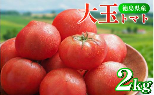 トマト 2kg 大玉 とまと 4月～6月発送 野菜 やさい 国産 産地直送 数量限定 1万円未満 旬 徳島県産 tomato サラダ おすすめ 徳島県 5000 5000円 5千円 5000円以内