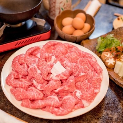 【毎月定期便】京都姫牛 切り落とし600g(ロース、モモ、カルビ)全6回【配送不可地域：離島】