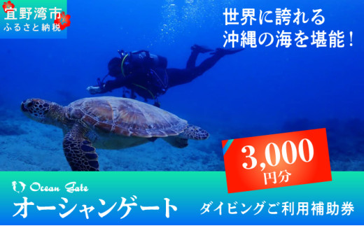 ダイビング マリンスポーツ オーシャンゲート ご利用補助券 3,000円分 | 沖縄県 宜野湾市 ふるさと納税 ふるさと | 送料無料 | 沖縄 旅行 トラベル 観光 リゾート 美ら海 | ご利用券 補助券