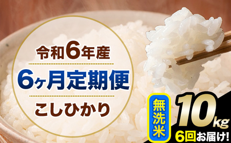 【6ヶ月定期便】令和6年産 定期便 こしひかり 無洗米 定期便 10kg 精米 熊本県産(南阿蘇村産含む)  南阿蘇村《申込み翌月から発送》｜人気米 熊本県産米  生活応援米