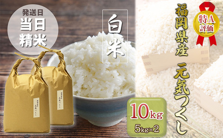 R7年産 米 10kg 元気つくし 福岡県産 特A評価 お米 5kg×2袋 白米 コメ 福岡県 