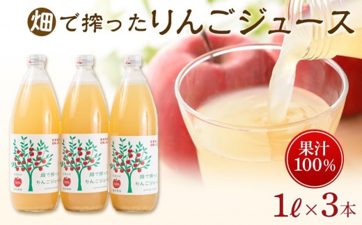 りんご ジュース 3本 × 各1000ml 大町産 箱入り｜ 林檎 リンゴ ストレートジュース 果汁100％ 大容量 ギフト 贈答用 人気 おすすめ フルーツジュース 果物 飲料 朝食用  国産 送料無料 長野県 大町市 信州 ふるさと納税