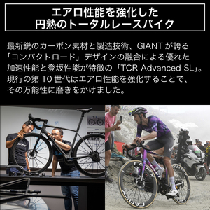 【フレームのみ】GIANT TCR ADVANCED SL FRAMESET (カラー：Atmosphere) ｜ ﾊﾞｲｸ自転車ﾊﾞｲｸ自転車ﾊﾞｲｸ自転車ﾊﾞｲｸ自転車 【GIA002_a】
