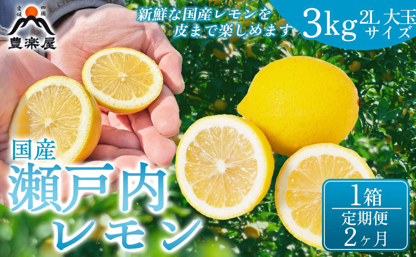 【定期便2ヶ月】【防腐剤・ワックス不使用で安心】真穴産地直送の国産レモン 瀬戸内レモン3kg サイズ2L大玉 1箱 全2回【98-29】YWTBU025