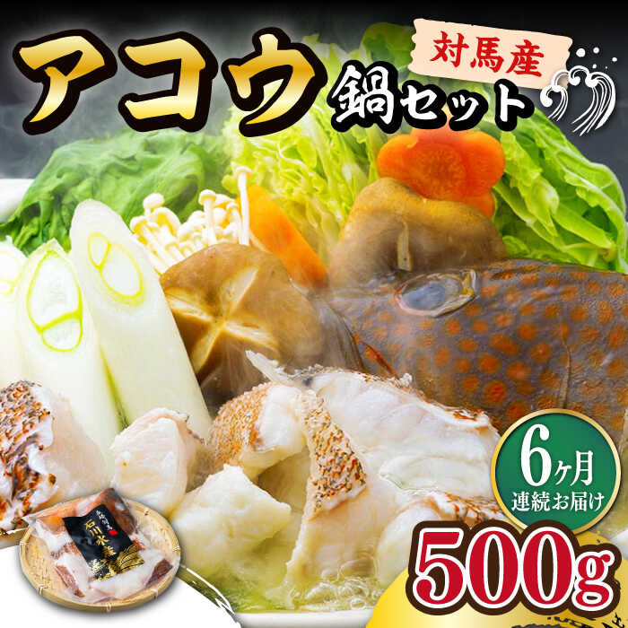【ふるさと納税】【全6回定期便】【 対馬産 】 アコウ ( キジハタ ) 鍋 セット 500g 《対馬市》【石川水産】 水炊き 高級 鮮度抜群 海鮮[WAB016]