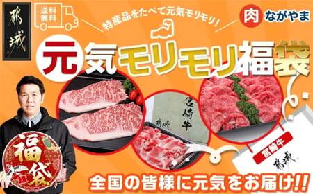 【福袋★2026】宮崎牛切り落とし・鉄板焼き用サーロイン2枚セット_AE-2501-F2026