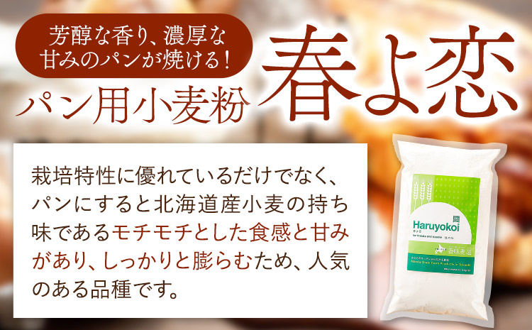 【ふるさと納税】北海道十勝 前田農産パン用小麦粉「春よ恋」5kg(1kg×5袋) 有限会社 十勝太陽ファーム 送料無料《60日以内に出荷予定(土日祝除く)》 北海道 本別町 パン 小麦粉 小麦