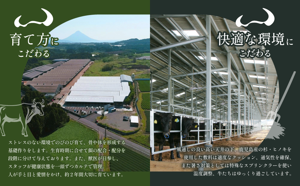 【プレミアムブランド】鹿児島県産黒毛和牛「小田牛」ボロネーゼソース 4個（160g×4）牛肉 お肉 惣菜 お惣菜 常温保存 簡単調理 湯煎 時短 レトルト 洋食 パスタ ボロネーゼ ボロネーゼソース 