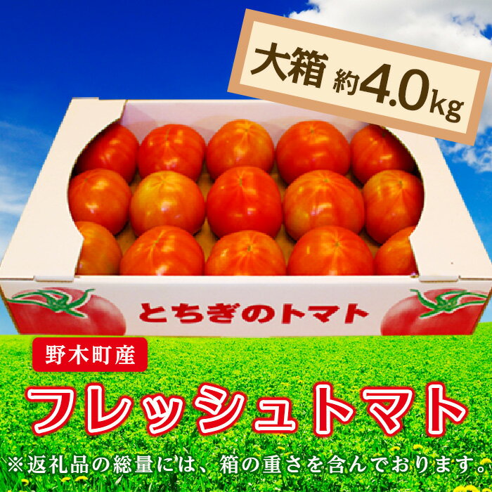 【ふるさと納税】トマト 甘い T03 トマト 約4kg 大箱 栃木県 野木町産