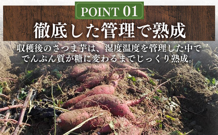 奈良県五條産 蜜たっぷり焼き干し芋 3個セット | 野菜 やさい ヤサイ さつまいも サツマイモ さつま芋 やきいも 焼きいも ヤキイモ 奈良県 五條市 プレゼント ギフト 人気 いも イモ おすすめ