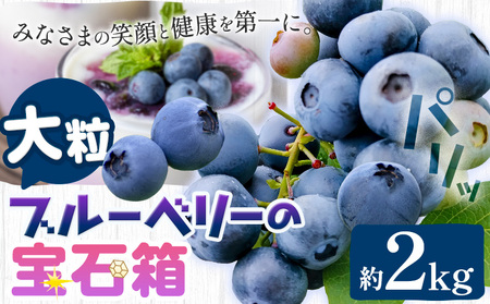 【2026年先行予約】ブルーベリー 大粒 計2kg (500g×4パック) 大粒ブルーベリーの宝石箱 かさおか青空ファーム 《2026年6月上旬-8下旬頃出荷》 岡山県 笠岡市 送料無料 フルーツ 果物 岡山県産 国産 ブルーベリー お取り寄せ st-p