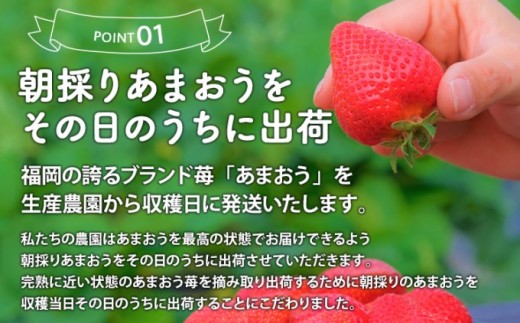 うるう農園の特選 あまおう 400g