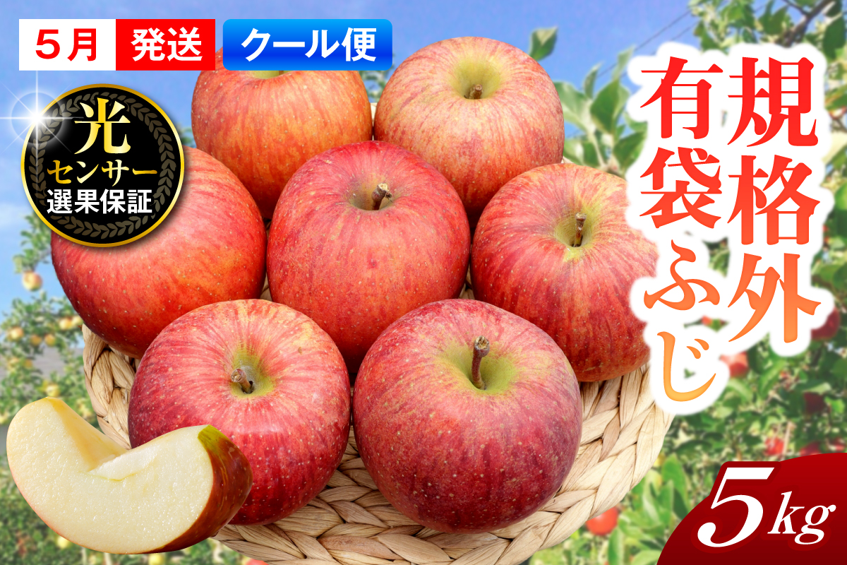 【2026年5月上旬発送】【規格外】 りんご 有袋ふじ 約5kg スマートフレッシュ?貯蔵 または CA貯蔵 【クール便】