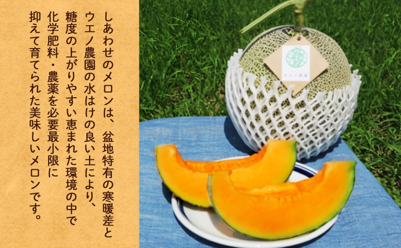 ＜2025年発送 先行受付＞ふらの産 しあわせのメロン キングメルティ 青肉 2玉 計3.2kg メロン 富良野メロン 果物 フルーツ 甘い スイーツ ギフト 贈答 送料無料 ウエノ農園 北海道 富良