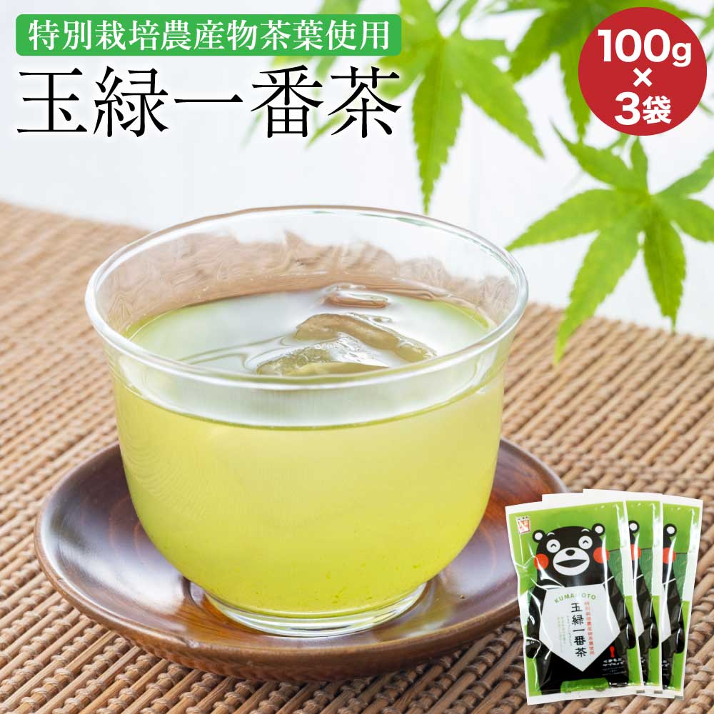 【ふるさと納税】 緑茶 くまモン 玉緑一番茶 100g×3袋セット 日本茶 一番茶 農薬を使わず栽培した茶葉 ネコポス対応 送料無料 丸佳本店