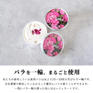 ローズミルクジェラート8個セット 87gela 食べられる薔薇のジェラート 87株式会社 滋賀県 東近江市 A-C14 バラ 薔薇 ジェラート アイス スイーツ デザート ギフト プレゼント 香料無添