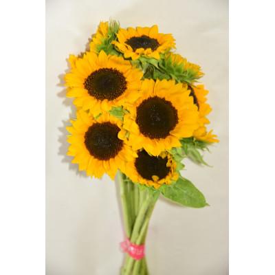 ふるさと納税 田舎館村 【2026年発送】ひまわり(切り花3種類)合計30本 |  | 03