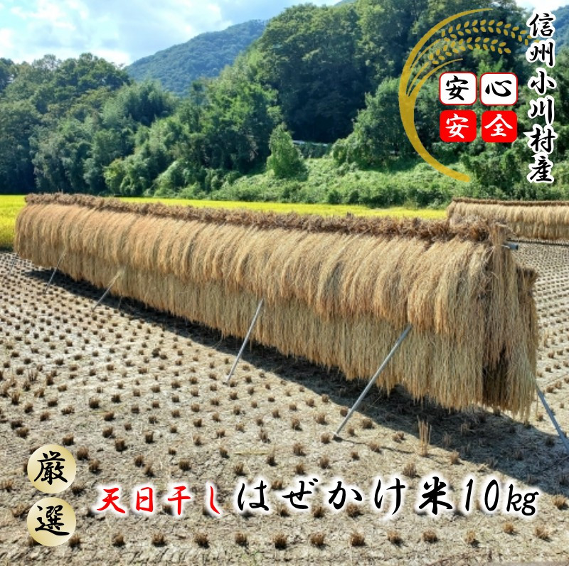 
            401＊小川村自慢のはぜかけ米10キロ
          