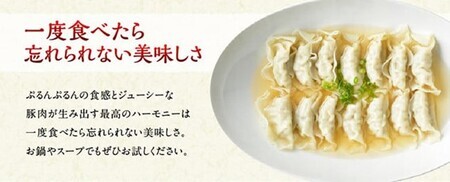 【令和8年8月発送分】合計104個！さんきょうみらい豚ぎょうざ(焼餃子＋水餃子)セット【 ふるさと納税餃子 ふるさと納税人気 ふるさと納税餃子 焼餃子 ぎょうざ  水ぎょうざ 】