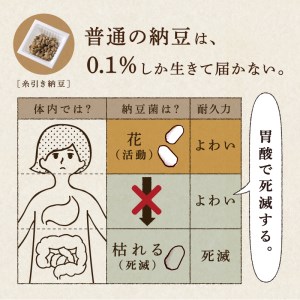 粉なっとう【オーガニックパウダー】180g×10袋
