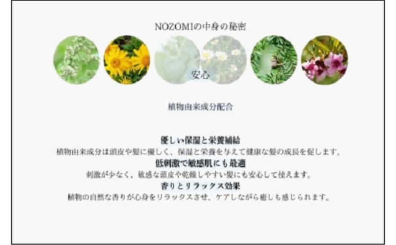 【福岡市内製造】NOZOMIボタニカルシャンプー　400ml