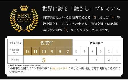 【全4回定期便！総計1.2kg】佐賀牛ヒレ定期便 300g 全4回【有田まちづくり公社】佐賀牛 牛肉 黒毛和牛 厳選 希少部位 お肉 おにく フィレ ヒレステーキ 定期便 ギフト 贈り物 贈答 16万