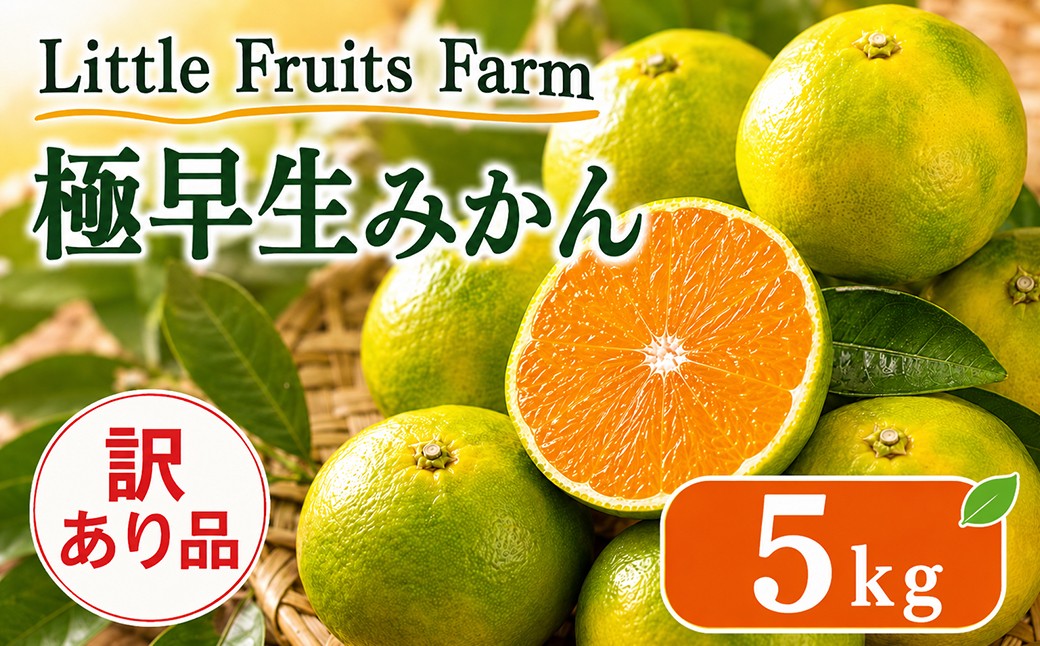 
                  【訳あり品】リトルフルーツファームの極早生みかん 約5kg ／ ミカン みかん 蜜柑 柑橘類 訳あり先行予約 10月 5kg 温州みかん 極早生 数量限定 フルーツ ＜116-012＞
                