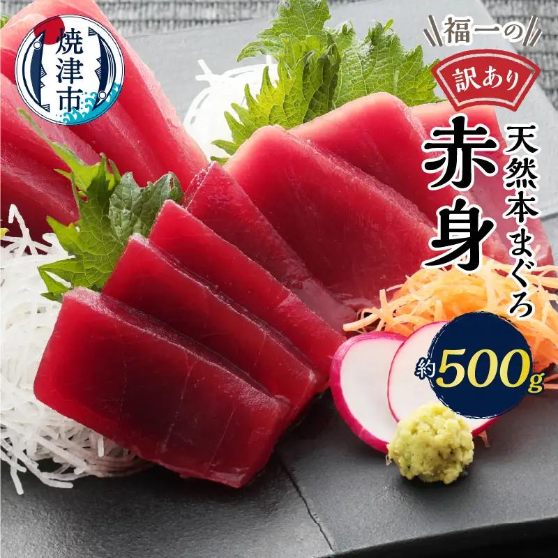 マグロ 赤身 訳あり 刺身 ホンマグロ 天身 約500g 訳あり OR FN-SupportProject OR 増量 OR 年末企画 訳あり (a10-1077)