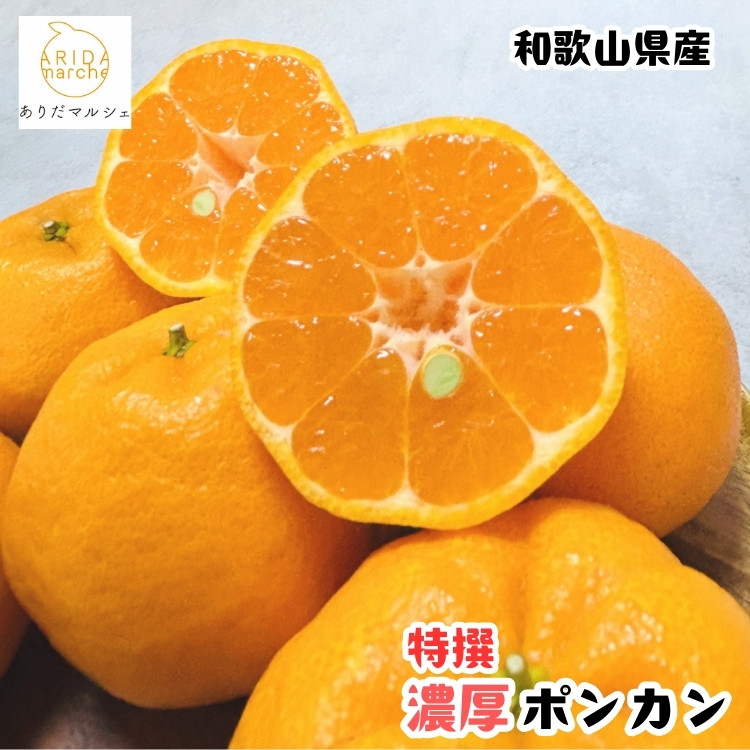 ［先行予約］極甘 柑橘 特撰 濃厚 ポンカン 5kg ［MS140］ 303446_XD90292