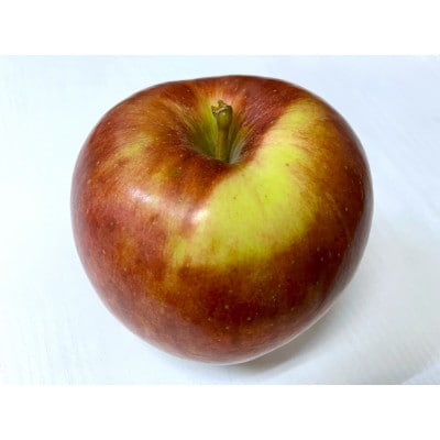 【2025年9月発送予定】平均糖度12度以上!葉とらずサンつがる 約5kg おもてなし用 クール便【配送不可地域：離島・沖縄県】