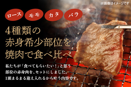 佐賀牛 希少部位焼肉用150g×4パック計600g ステーキ150g×4パック計600g【佐賀牛 焼肉 スライス ひとくち ステーキ 牧場直送 赤身肉 食べ比べ 小分け】(H122121)