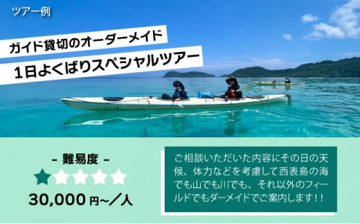 旅行券 沖縄 チケット 西表島 アクティビティ ツアーチケット 9,000円 旅行 旅行 体験 観光