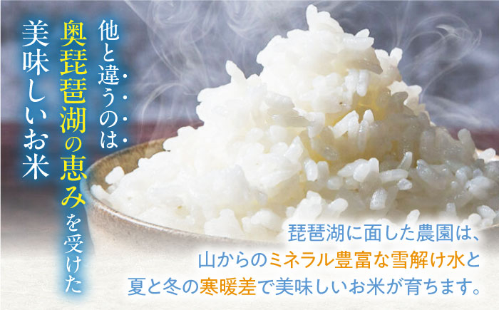 近江米コシヒカリ 魚のゆりかご水田米 10kg こしひかり 近江米 滋賀 魚のゆりかご 水田 米 お米 白米