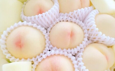 岡山白桃 ロイヤル 5～7玉入り（合計約2kg）【2026年7月上旬～8月下旬 発送予定】【もも 桃 白桃 果物 フルーツ 国産 人気 おすすめ 岡山県 倉敷市】