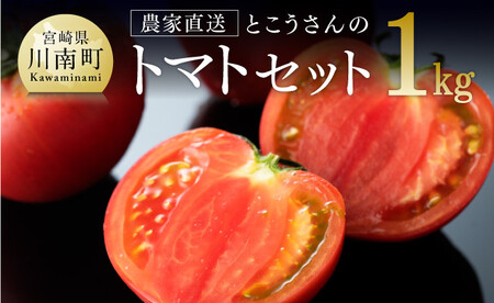 宮崎県産とまと とこうさんのトマト1ｋｇ(9～18個) 【 宮崎県産 九州産 川南町産 トマト とまと 野菜 ヘルシー E6601 】