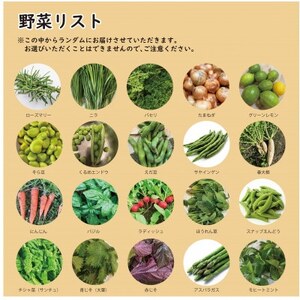 【こだわり春の野菜詰め合わせセット】Mサイズ　栽培期間中農薬・化学肥料・除草剤不使用の旬野菜【配送不可地域：離島】【1679694】