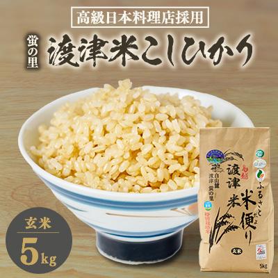 ふるさと納税 白山市 《高級日本料理店採用》蛍の里「渡津米」玄米5kg・栽培期間中農薬化学肥料70%減