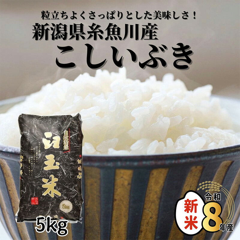 【ふるさと納税】こしいぶき 5kg《令和8年産新米》【令和8年10月以降順次発送】新潟県 糸魚川産 プロが認めたうまい米 臼玉米 コシヒカリの甘みを兼ね備えた早生品種 おすすめ 人気 お手頃価格 木島米穀店