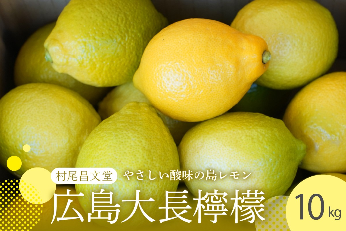 国産檸檬（レモン）発祥の地　広島大長檸檬　10kg