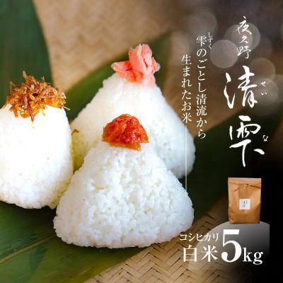 ふるさと納税 福知山市 京都夜久野産 清雫(せいな)コシヒカリ  白米 5kg