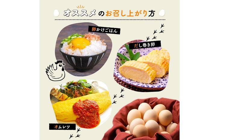【定期便】赤たまご 30個 3回 毎 月 3カ月 定期 お届け こだわり 卵 たまご 濃い 玉子 セット 玉 子焼き 卵焼き オムレツ 卵かけ ご飯 ゆで卵 鶏卵 卵黄 ※北海道・東北・沖縄・その他離