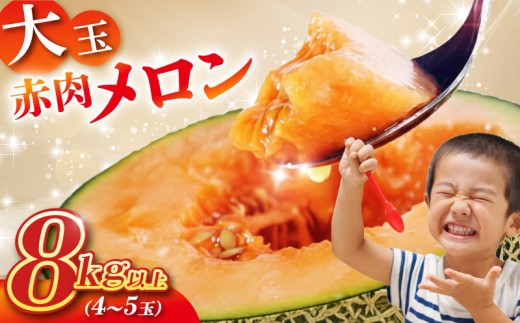 ＪＡ直送 大玉赤肉メロン 4～5玉 8kg以上 つる無し 山形県酒田産 2026年6月下旬～7月下旬頃お届け 先行予約 メロン 赤肉メロン 赤肉 フルーツ 大玉 ジューシー 夏 旬 農協 JA 東北 山形県 庄内 酒田 JAそでうら　SB0843