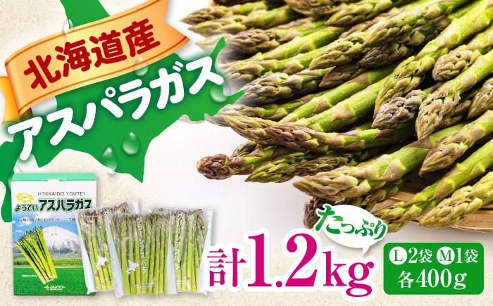 
                  【6月上旬以降順次発送】グリーンアスパラガス 1.2kg（Lサイズ 400g×2袋・Mサイズ 400g )《喜茂別町》【Aコープようてい】 アスパラ アスパラガス 野菜 セット 詰め合わせ 北海道 採れたて 冷蔵配送 冷蔵 [AJAK003]
                