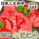 【ふるさと納税】A4等級以上 近江牛 モモ すき焼用 切落し 【250g】すき焼き肉 【牛肉】【牛】【A4】【A5】【国産】【切り落とし】【切落とし】