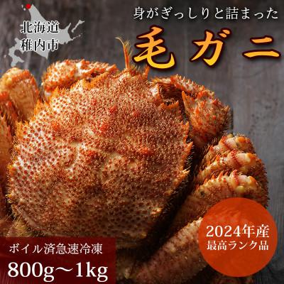ふるさと納税 稚内市 【ボイル済み急速冷凍】身がパンパンに詰まった稚内産毛ガニ800g〜1kg(超大サイズ)×1尾
