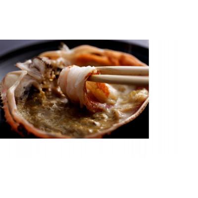 ふるさと納税 京丹後市 【厳選】茹で松葉蟹 L(600g級)×1杯　★1月〜2月お届け |  | 02