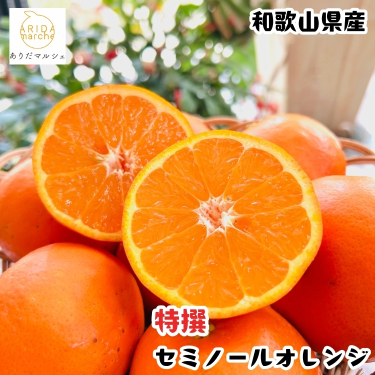 【特撰】セミノール 2kg+200g(補償分)｜ みかん 高級 くだもの 晩柑 柑橘 和歌山