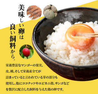 S038-T12_【定期便12回】天草 タマンゴ 6個 卵