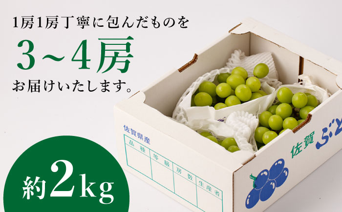 【甘くてみずみずしい】シャインマスカット 約2kg（3～4房） /菓子工房ピュアハート [UDF002] 果物