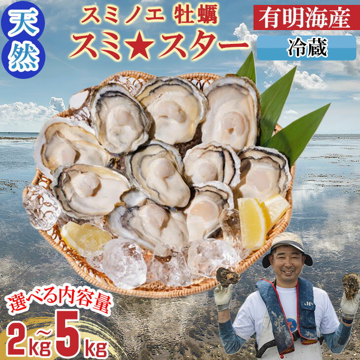 【ふるさと納税】【先行予約】 【選べる配送月・内容量】【天然】有明海産住之江牡蠣 スミ☆スター 2キロ～5キロ 牡蠣 冷蔵牡蠣 スミノエ牡蠣 カキ かき 冷蔵 貝 貝類 天然 送料無料 海鮮 海産 海産物 【B120-047】